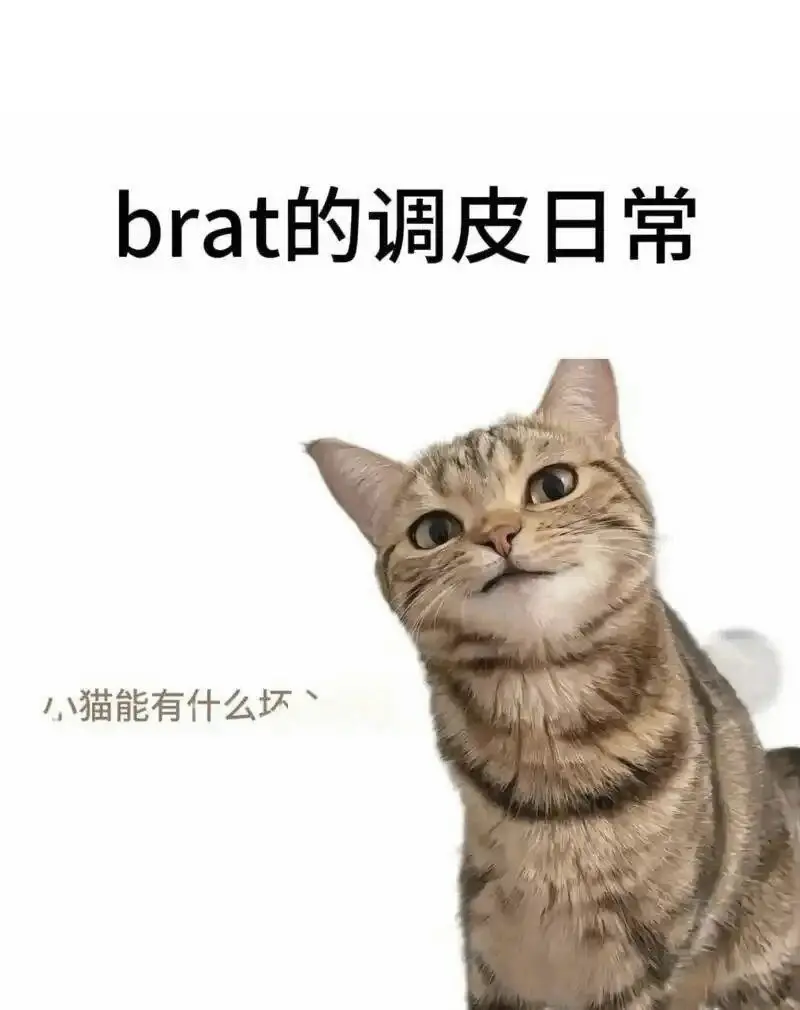 你会爱上用spank带来的刺激吗?探索更多隐藏的快感! 一