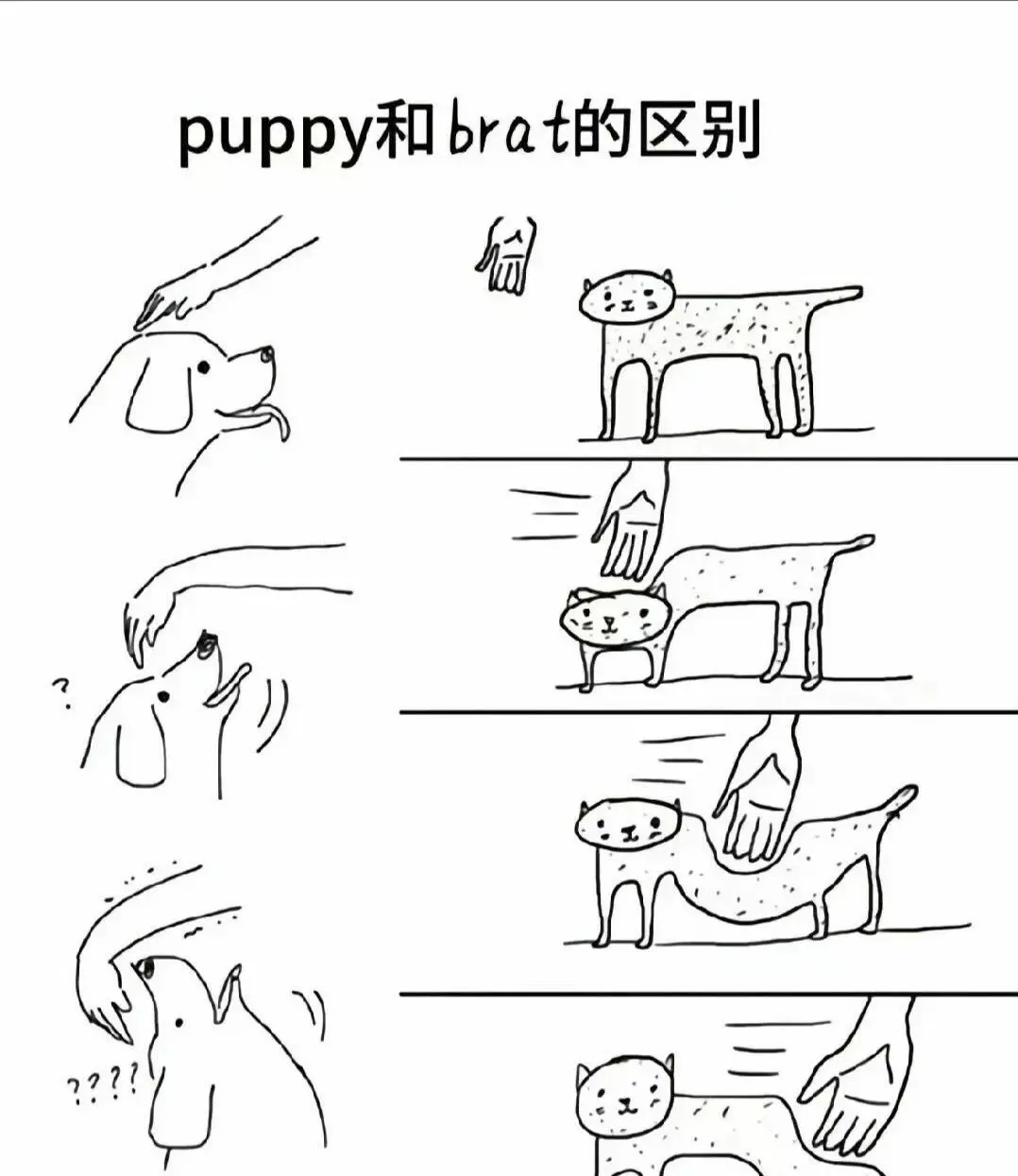 你愿意尝试spank吗？探寻刺激与快感的边界 一