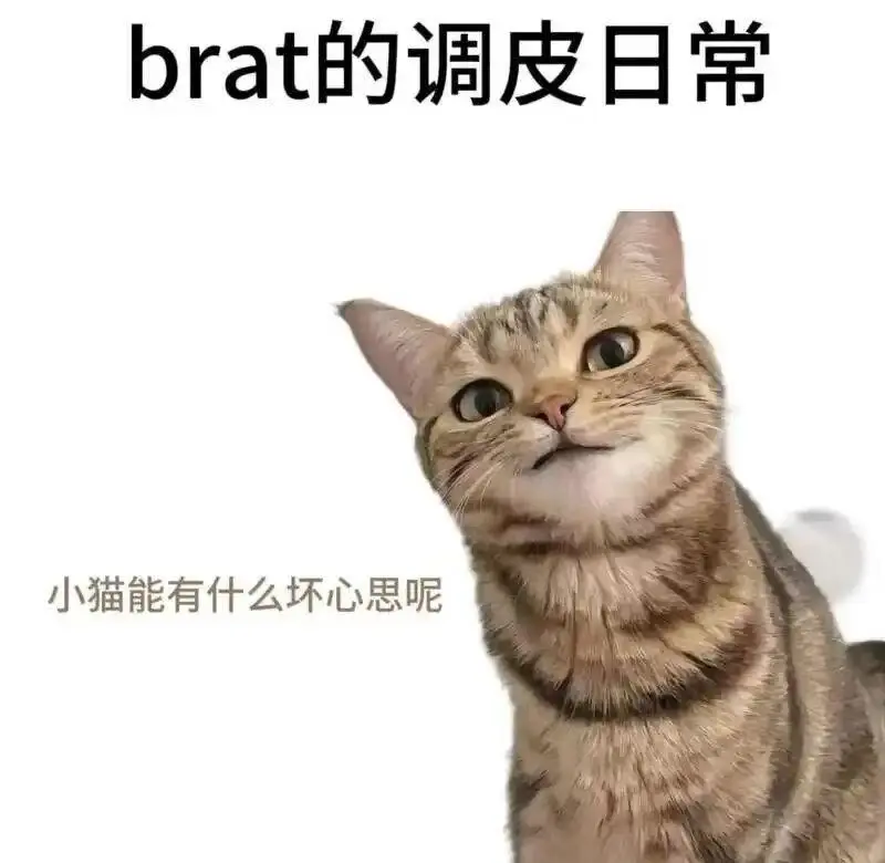 s倾向：探索你的内心深处欲望与需求 一