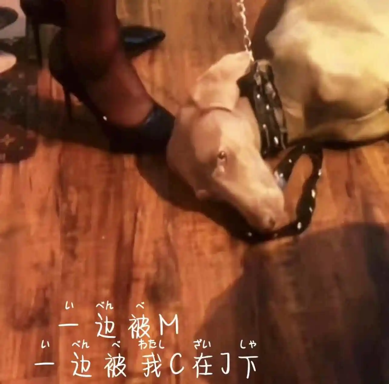 成为令人心动的DOM，如何掌控一切？ 一